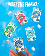 Milliways Mighty Mint Super Natural Gum - Plastic-Free Chewing Gum | Xylitol, Aspartame-Free, Sugar-Free, Plant-Based | 12 Packs of 10 Pieces (120 Pieces Total)