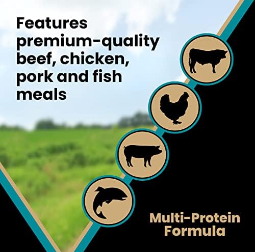 VICTOR Super Premium Dog Food – Hi-Pro Plus Dry Dog Food – 30% Protein, Gluten Free - for High Energy and Active Dogs & Puppies, 5lbs
