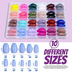 FANDAMEI Press on Nails Medium Length, 24 Pack 576PCS Glossy Medium Coffin Fake Nails Full Cover, Acrylic Short Ballerina False Nail tips with Nail Glue, Nail Adhesive Tabs, Nail File for Nail Art DIY