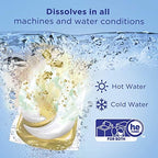 Tide Pods +downy Free, Liquid Laundry Detergent Pacs, 73 Count