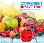 Raid Fruit Fly Trap Bundle, Set of 3 2-Pack Apple Fruit Fly Catcher Indoor Trap, 360-Day Supply of Fruit Fly Traps for Kitchen & Dining Areas, Reusable Gnat Traps w/Food-Based Lure for Fruit Flies