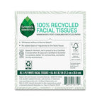 Seventh Generation Facial Tissue, 2-Ply Sheets, 85-Count Boxes (Pack of 36)