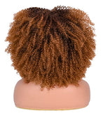 ANNISOUL 14Inch Short Curly Afro Wigs for Black Women Bomb Afro Kinky Curly Wig with Bangs Synthetic Fiber Full Wig(Black to Brown)