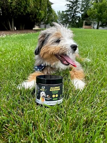 Googipet Dog Allergy Chews, Dog Allergy Relief & Itchy Skin Relief, Skin & Coat Supplement +Bee Pollen, Colostrum for Dogs, Coconut Oil, Probiotics, & Omega 3 Fish Oil to Reduce Constant Scratching