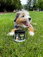 Googipet Dog Allergy Chews, Dog Allergy Relief & Itchy Skin Relief, Skin & Coat Supplement +Bee Pollen, Colostrum for Dogs, Coconut Oil, Probiotics, & Omega 3 Fish Oil to Reduce Constant Scratching