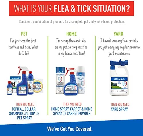 Plus Flea & Tick Foaming Shampoo & Wash for Dogs & Puppies Over 12 Weeks | Sensitive Skin Flea Treatment for Dogs and Puppies | Kills Adult Fleas, Ticks, and Lice On Contact | 10 Oz