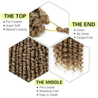Passion Twist Crochet Hair 10 Inch Passion Twist Hair 8 Packs Pre-Twisted Passion Twist Crochet Hair for Black Women Soft Passion Twist Curly Crochet Hair 10"(Pack of 8) 27#