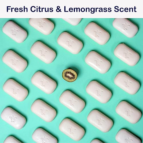 Shampoo Bar for thin hair with Argan Oil & Kiwi, Gentle foam, Natural, Green, SLS free, Sulfate Free, Soap-Free, Zero Waste, Vegan, 3.53 Oz
