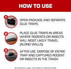 Tomcat Rat Trap with Immediate Grip Glue for Rats, Mice, Snakes, Cockroaches, Spiders, and Scorpions, Ready-To-Use, 2 Traps