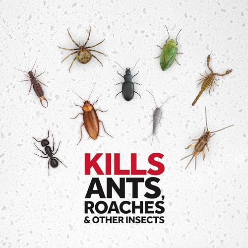 Raid Ant & Roach Killer Lavender 17.5 Ounce (Pack of 12)