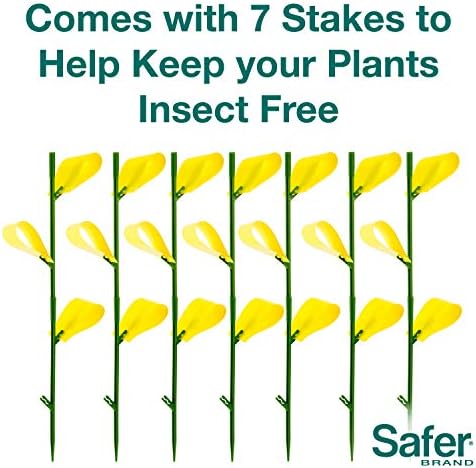 Safer Brand 5026 Houseplant Sticky Stake Insect Traps for Indoor Plants - Controls Fungus Gnats, Whiteflies, Midges, Thrips, Fruit Flies, and Black Flies - 12 Pack, 84 Traps