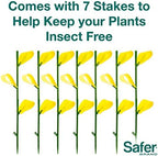 Safer Brand 5026 Houseplant Sticky Stake Insect Traps for Indoor Plants - Controls Fungus Gnats, Whiteflies, Midges, Thrips, Fruit Flies, and Black Flies - 12 Pack, 84 Traps