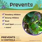 Bonide Captain Jack's 12 oz Neem Max Ready-to-Use Spray for Houseplants Indoors