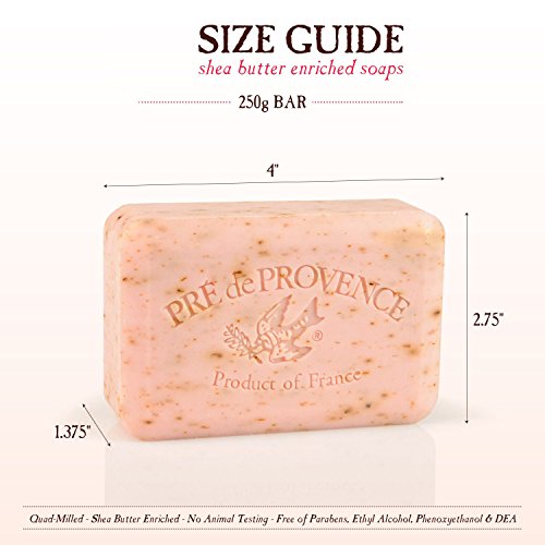 Pre de Provence Artisanal Soap Bar, Enriched with Organic Shea Butter, Natural French Skincare, Quad Milled for Rich Smooth Lather, 8.8 Ounce, Coconut