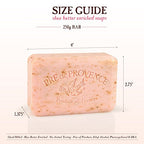 Pre de Provence Artisanal Soap Bar, Enriched with Organic Shea Butter, Natural French Skincare, Quad Milled for Rich Smooth Lather, 8.8 Ounce, Coconut