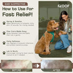 Hypochlorous Acid Spray for Dogs - Hot Spot Treatment & Allergy Relief - Dog Skin Anti Itching & Paw Licking Remedy - Wound Cleanser Spray (8.5 FL OZ) (Pack of 1)