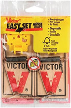 Victor EZ set mouse trap (Pack of 12)