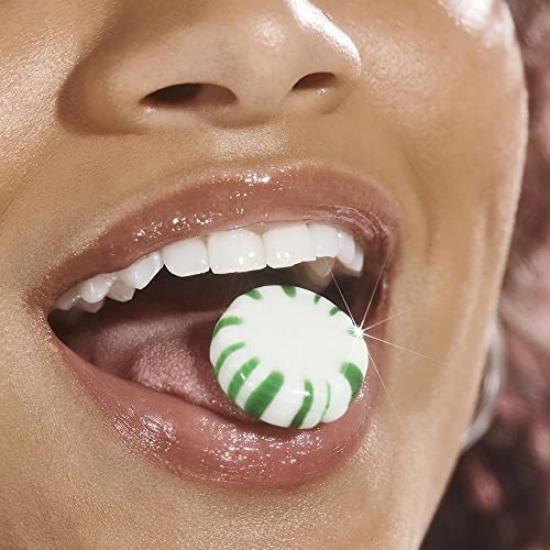 e.l.f. Ride or Die Lip Balm, Ultra-Hydrating Clear Lip Balm, Infused with Jojoba Oil, Sheer Finish, Mighty Mint, 0.42 Oz (12g)