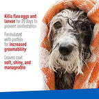 Plus Flea & Tick Shampoo with Precor for Cats, Kittens, Dogs & Puppies Over 12 Weeks Of Age, Sensitive Skin Flea Treatment Formula, Kills Adult Fleas, Flea Eggs, Ticks, and Lice, 1 Gallon