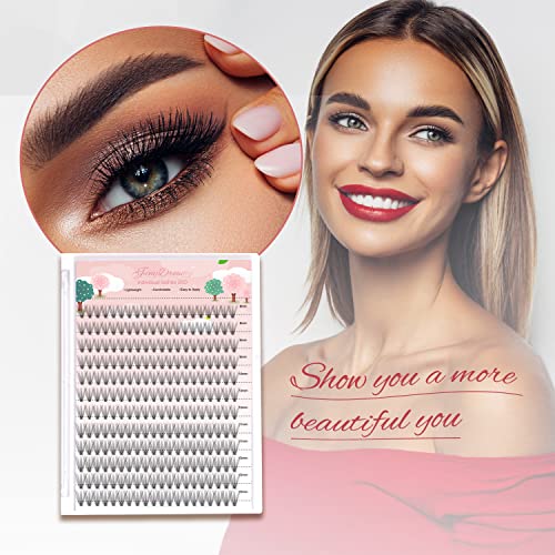 4 Trays 10D Lash Clusters, 960pcs Individual Lashes Extensions Natural Cluster Lashes, 8-12mm Mix Lengths 10 Roots C Curl 0.07mm Thickness eyelash Individual Cluster Lashes and Apply Under your Lashes