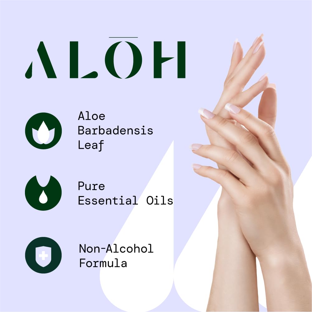 AL��H Skin - Softening Sanitizing Hand Wipes ��� Peppermint + Eucalyptus Aloe (1 Box of 20 Individually Wrapped Wipes)