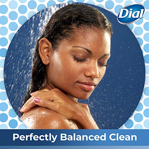 Dial Body Wash, Refresh & Renew Spring Water, 32 fl oz (Pack of 2)