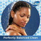 Dial Body Wash, Refresh & Renew Spring Water, 32 fl oz (Pack of 2)