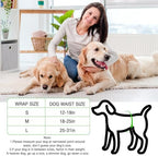 Dog Diapers Male Disposable Super Absorbent, 100 Count, Male Dog Wraps Leak Proof, Ultra Dry & Breathable, Small