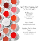 RMS Beauty Lip2Cheek - Cream Blush for Cheeks & Lip and Cheek Tint Blush Blush Tint Cheek Stain Creme Blush for Cheeks Lip and Cheek Stain Blush Cream