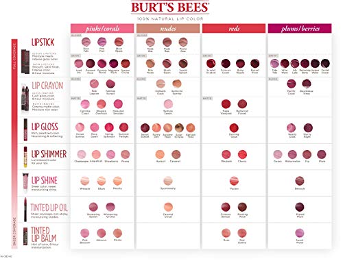 Burt's Bees 100% Natural Moisturizing Lip Shine, Spontaneity - 1 Tube