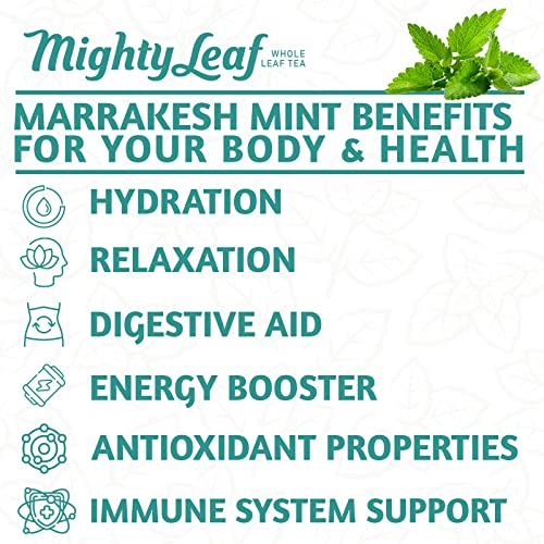 Mighty Leaf Tea - Marrakesh Mint - 100 Pouches Foil Wrapped
