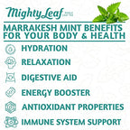Mighty Leaf Tea - Marrakesh Mint - 100 Pouches Foil Wrapped
