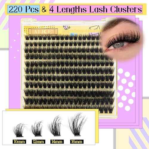 ALICE Fluffy Volume Lash Clusters Kit Lash Extension Kit Thick 3D Wispy DIY Eyelash Extension Kit with 220Pcs Mink Look Individual Lashes, Lash Bond and Remover,Tweezers(10-16mm,0.05D, D Curl)