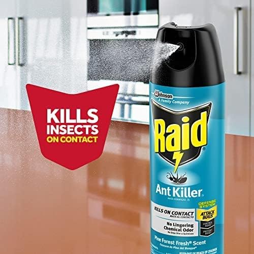 Raid Ant Killer Spray Pine Forest (17.5 Ounce (Pack of 8)