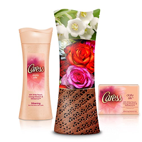 Caress Beauty Bar, Daily Silk 4 oz, 12 Bar, (Pack of 2)