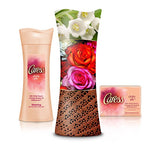 Caress Beauty Bar, Daily Silk 4 oz, 12 Bar, (Pack of 2)
