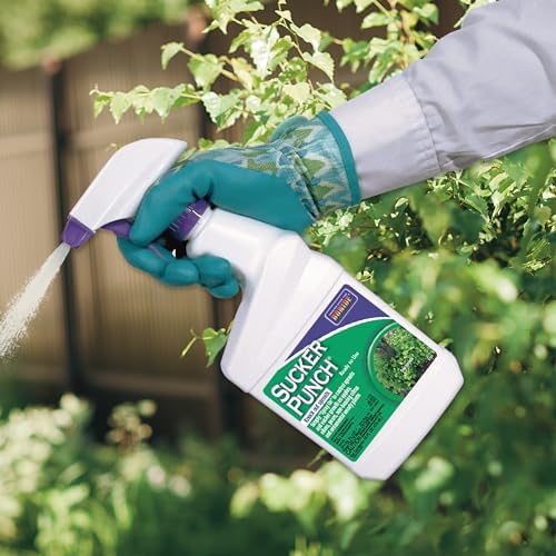 Bonide Sucker Punch, 16 oz Ready-to-Use Spray, Control Unwanted Plant Sprouts, Plant Growth Regulator for Home Garden