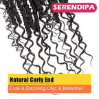Goddess Passion Twist Hair with Curly End 12 Inch Short Pre-Looped Boho Style Crochet Braids Pre-twisted (8 Packs, 4#, Brown)