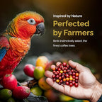 Birdee Vietnamese Coffee – 1 LB, Medium Roast Whole Bean, 100% Robusta, Low Acid, High Caffeine, Single-Origin, Fine Robusta Standard, Hand-picked
