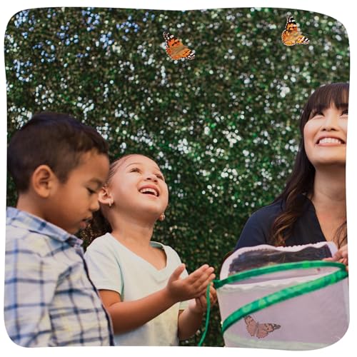 Insect Lore Butterfly Garden with 5 Live Baby Caterpillars - STEM Activity Journal, Habitat, Chrys-A-Lid Holder and Feeder Included | Raise and Release Painted Lady Butterflies