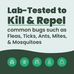Cedarcide Original Bug Spray | Repel & Kill Fleas, Ticks, Mosquitoes, Mites, Ants & Chiggers | for use on People, Pets & Home | Natural Cedar Oil | Large Size Kit