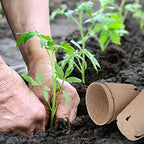 Homenote Peat Pots, 60 Pcs 3.15 Inch Seed Starting Pots with Drainage Holes Round Nursery Plants Pots with Bonus 20 Plant Lab