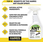 Harris Ant Killer Spray, 20 oz for Indoor and Outdoor Use