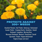 BioAdvanced Season Long Weed Control For Lawns, Ready-to-Spray, 29 oz, 9,000 Sq Ft