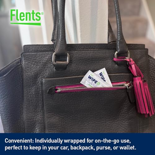 Flents Lens Wipes, Wipe 'N Clear Basic, 200 Count, Pre-Moistened, Streak-Free, Safe for Glasses, Sunglasses, Gentle Cleaning, Clear Vision, Streak-Free, Individually Wrapped for Travel & Convenience