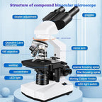 Microscope for Adults WF10x and WF25x eyepieces, 40X-2000X Magnification USB Camera, Microscope for Adults Suitable for Laboratory School (Large Model Binocular Electronic Eyepiece)