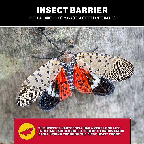 Catchmaster Tree Banding Insect Barrier 6Pk, 15oz Pails, Lanternfly & Ant Traps, Outdoor Adhesive Crawling Insect Trap, Glue Traps to Protect Trees, Fruit & Plants