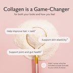 Alaya Multi Collagen Powder - Supports Hair, Skin, Nails & Bone Health for Women and Men - 5 Types Hydrolyzed Collagen Peptides Protein Powder Supplement with MSM + Glucosamine (20 Serving)