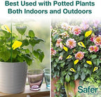 Safer Brand 5026 Houseplant Sticky Stake Insect Traps for Indoor Plants - Controls Fungus Gnats, Whiteflies, Midges, Thrips, Fruit Flies, and Black Flies - 12 Pack, 84 Traps