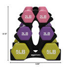 Amazon Basics Neoprene Dumbbell Hand Weights with Stand, Rack with 3 Pairs (2, 3, and 5 pound), Non-Slip Hexagon, Pink/Purple/Green